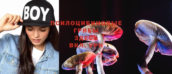 марки lsd Верея