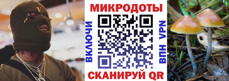Галлюциногенные грибы мухоморы это как зайти Гдов наркошоп mega как зайти